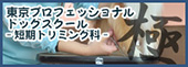 東京プロフェッショナルドッグスクール-短期トリミング科-